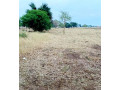 land-for-sale-in-makeni-small-1