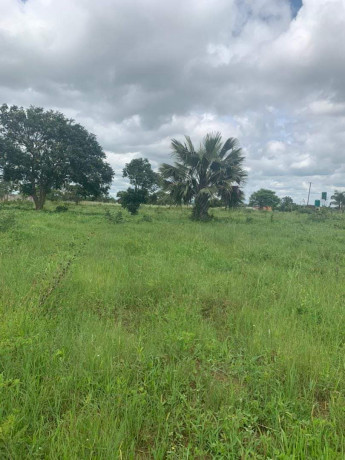 land-for-sale-in-makeni-big-0