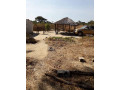 farm-for-sale-in-chingola-small-5
