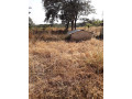 farm-for-sale-in-chingola-small-2