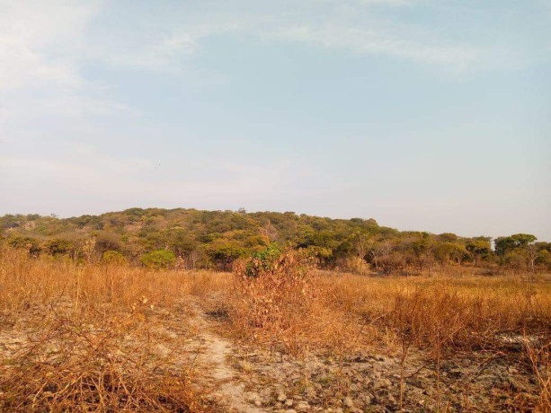 farm-for-sale-in-chingola-big-0