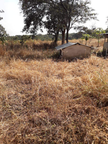 farm-for-sale-in-chingola-big-2