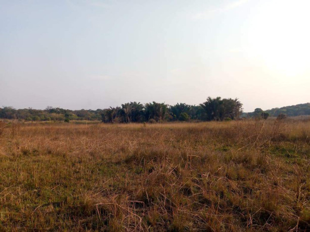 farm-for-sale-in-chingola-big-3