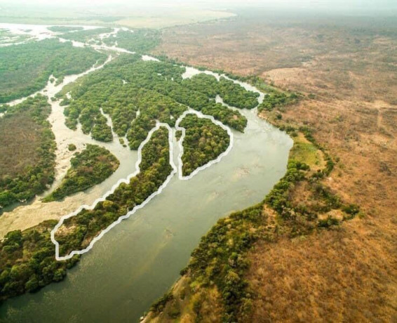 2-islands-for-sale-on-upper-zambezi-big-3