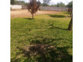 40m-by-50m-plot-for-sale-in-ibex-hill-small-0