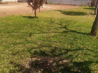 40m-by-50m-plot-for-sale-in-ibex-hill