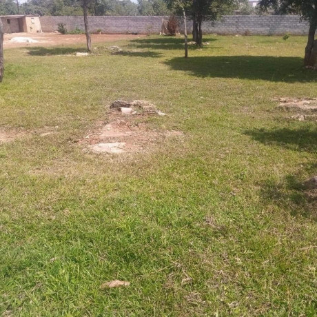 40m-by-50m-plot-for-sale-in-ibex-hill-big-2