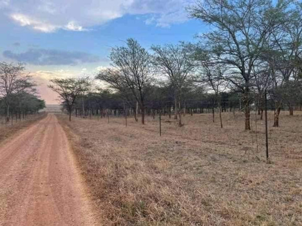 5-acres-land-for-sale-in-lilayi-big-1