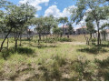 70m-by-30m-plot-for-sale-in-ibex-hill-small-3