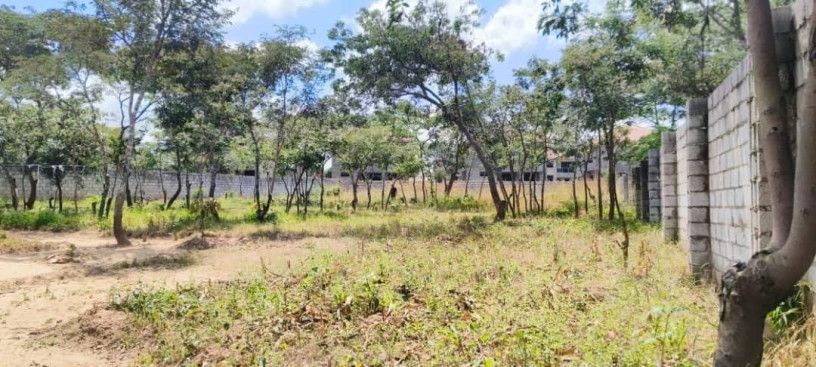 70m-by-30m-plot-for-sale-in-ibex-hill-big-2