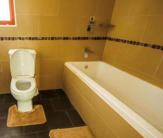 3-bedroom-house-for-sale-in-roma-park-big-6