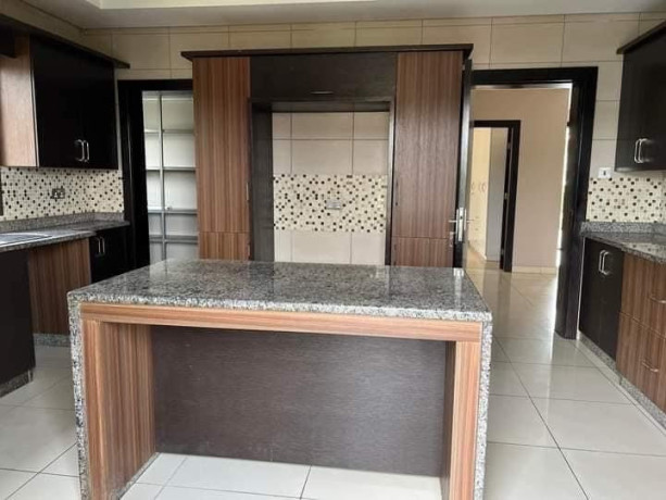 4-bedroom-house-for-sale-in-roma-park-big-9