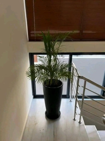 4-bedroom-apartment-for-sale-in-new-kasama-big-5