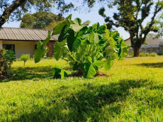 3-bedroom-house-for-sale-in-olympia