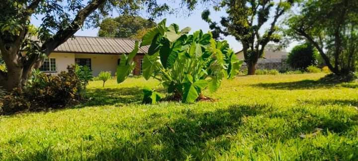 3-bedroom-and-2-bedroom-flats-for-sale-in-olympia-big-5