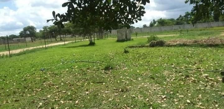 2-bedroom-flats-for-rent-in-ibex-hill-big-8