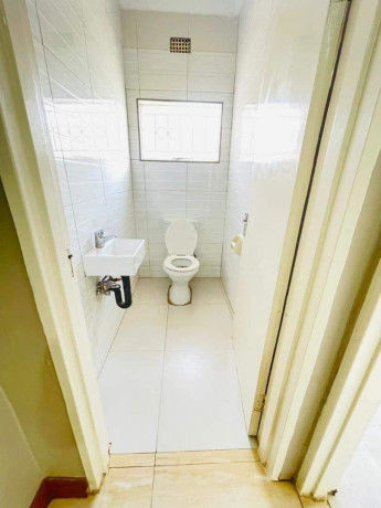 2-bedroom-flat-for-rent-in-nyumba-yanga-big-6