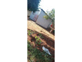 2-bedroom-house-for-sale-in-nyumba-yanga-small-4