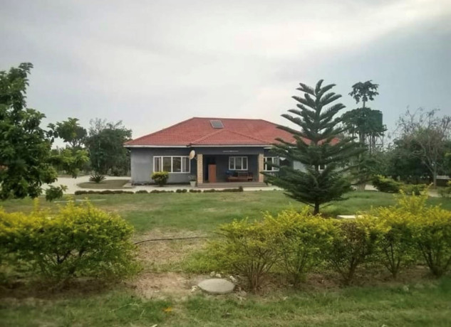 3-bedroom-house-for-sale-in-18-miles-big-1