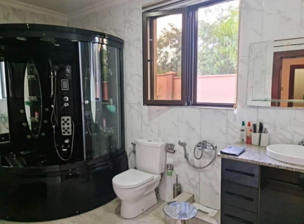 4-bedroom-house-for-rent-in-roma-big-3