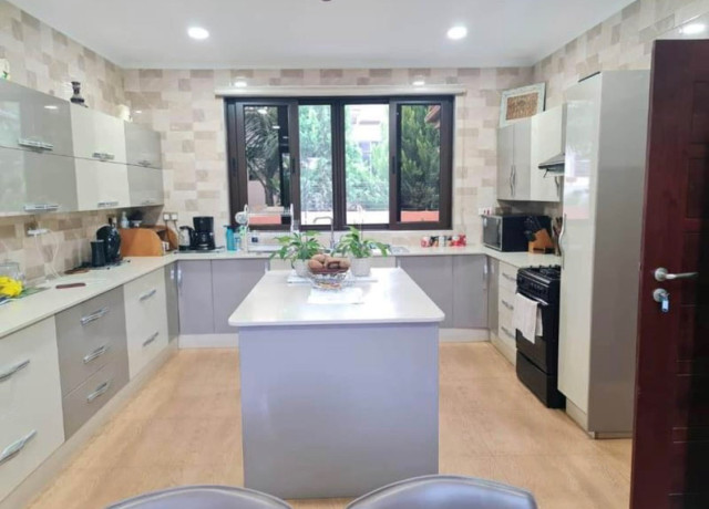 4-bedroom-house-for-rent-in-roma-big-5