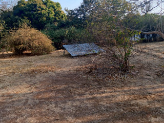 3-bedroom-house-for-rent-in-roma