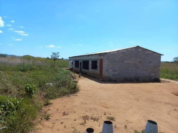 3-acres-traditional-farm-land-for-sale-in-leopards-hill-big-3