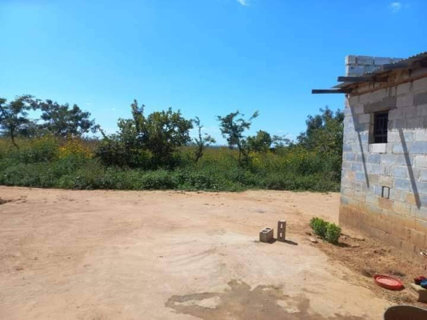 3-acres-traditional-farm-land-for-sale-in-leopards-hill-big-2