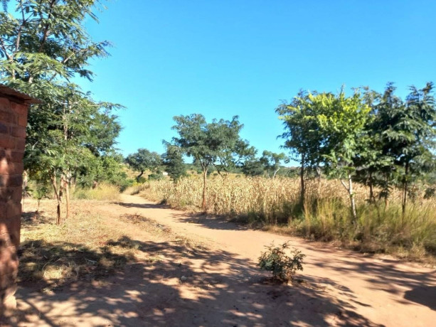 10-hectare-farm-for-sale-in-chongwe-big-2