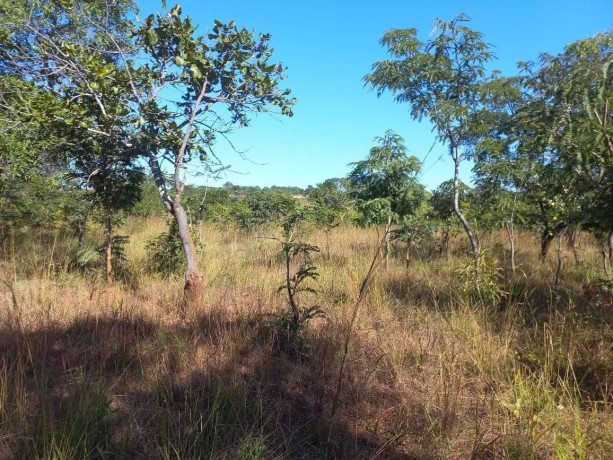 10-hectare-farm-for-sale-in-chongwe-big-3