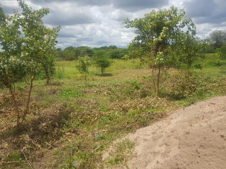 800-sq-mt-of-plot-for-sale-in-falls-view-livingstone