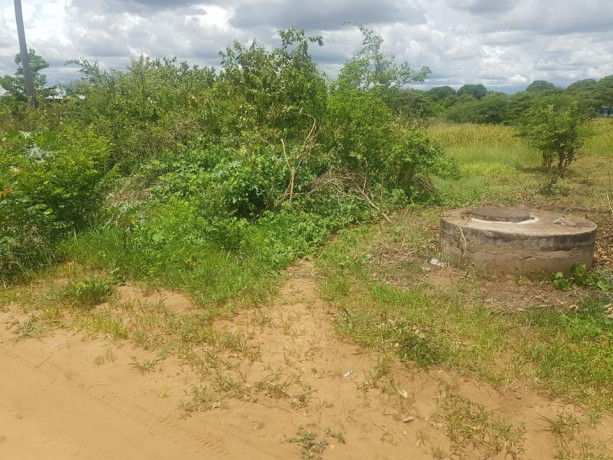 800-sq-mt-of-plot-for-sale-in-falls-view-livingstone-big-1