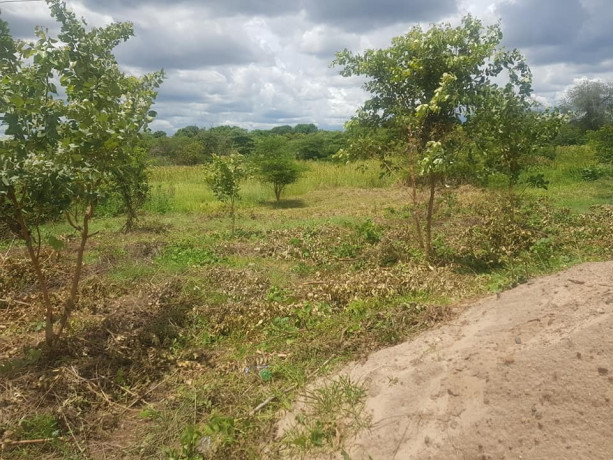 800-sq-mt-of-plot-for-sale-in-falls-view-livingstone-big-0