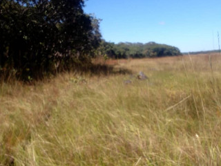 150-hectares-of-land-for-sale-in-chibelwa-luwingu