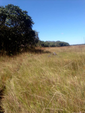 150-hectares-of-land-for-sale-in-chibelwa-luwingu-big-0