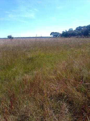 150-hectares-of-land-for-sale-in-chibelwa-luwingu-big-3
