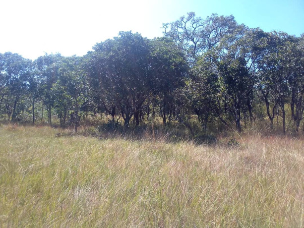 150-hectares-of-land-for-sale-in-chibelwa-luwingu-big-1