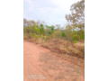 1600-hectares-land-for-sale-in-mumbwa-small-0