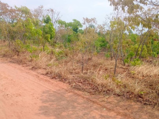 1600-hectares-land-for-sale-in-mumbwa