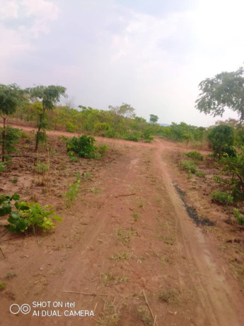 1600-hectares-land-for-sale-in-mumbwa-big-3