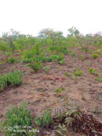 1600-hectares-land-for-sale-in-mumbwa-big-1