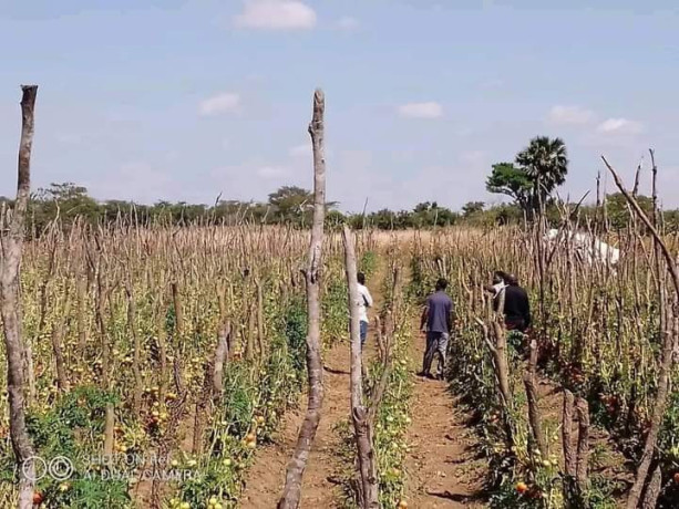 95-hectors-farm-land-for-sale-in-chongwe-big-1