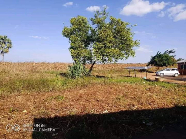 95-hectors-farm-land-for-sale-in-chongwe-big-0