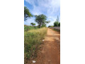 level-parcel-of-land-in-makeni-small-2