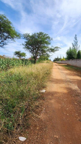 level-parcel-of-land-in-makeni-big-2