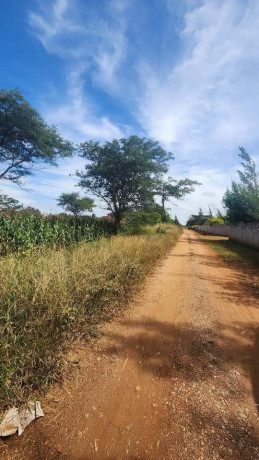 level-parcel-of-land-in-makeni-big-0