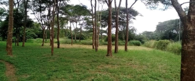 plots-for-sale-in-new-kasama-big-0