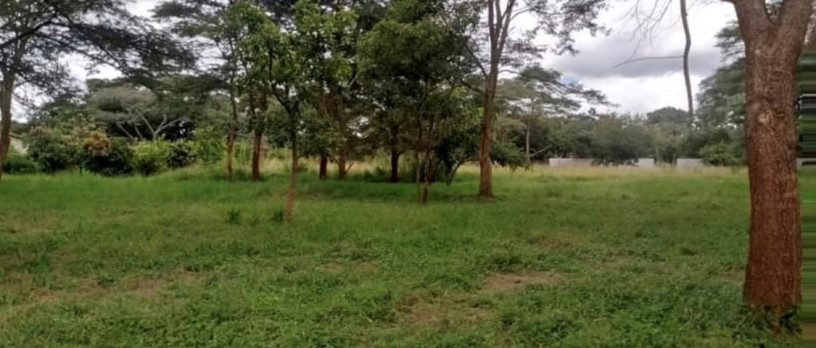 plots-for-sale-in-new-kasama-big-1