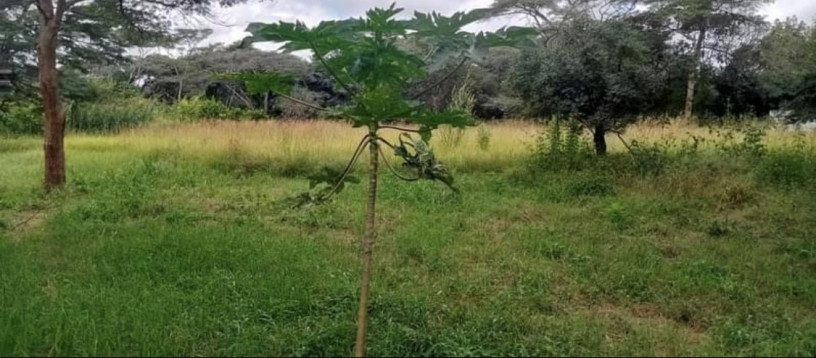 plots-for-sale-in-new-kasama-big-2