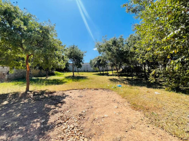 spacious-plot-for-sale-in-foxdale-big-3